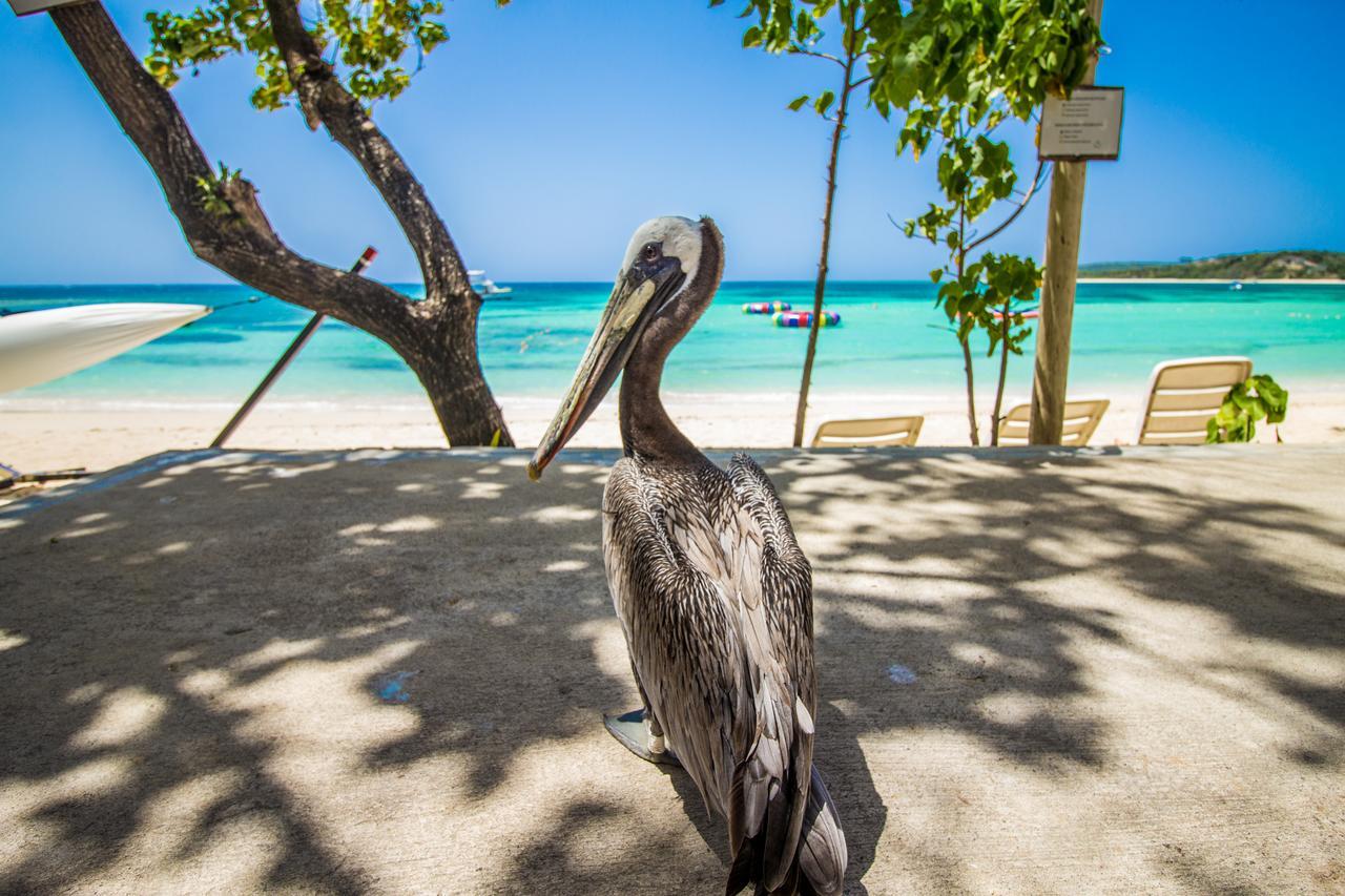 Paradise Island Beach Resort Punta Rucia Exteriör bild